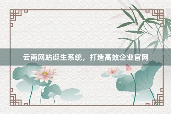 云南网站诞生系统，打造高效企业官网